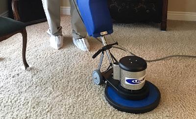 Expert Carpet Cleaning Services in Bankstown